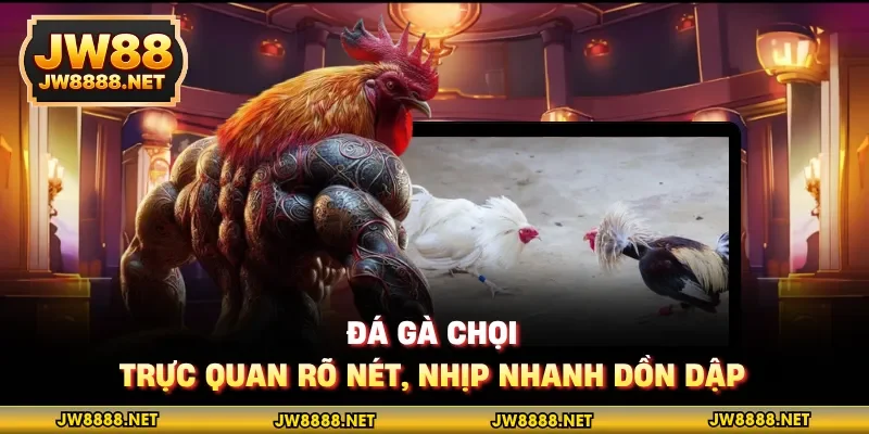 Đá gà chọi - Trực quan rõ nét, nhịp nhanh dồn dập
